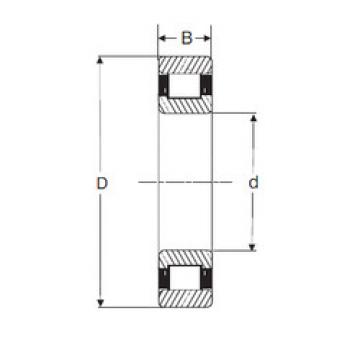 підшипник MRJ 1.1/4 SIGMA