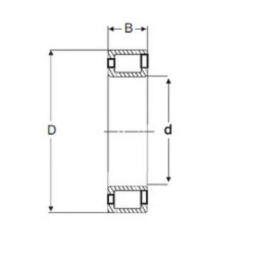 підшипник NCF 3036 V SIGMA