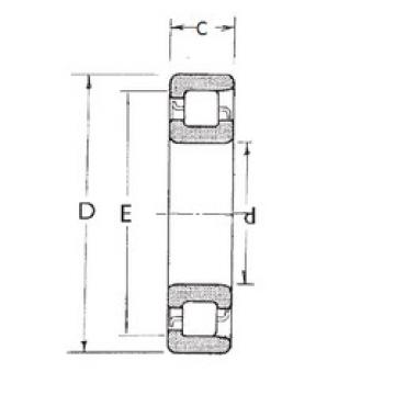 підшипник NF319 FBJ