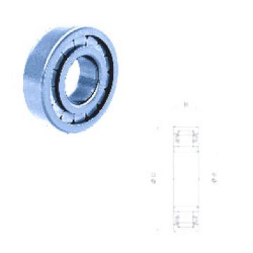 підшипник NU310F Fersa