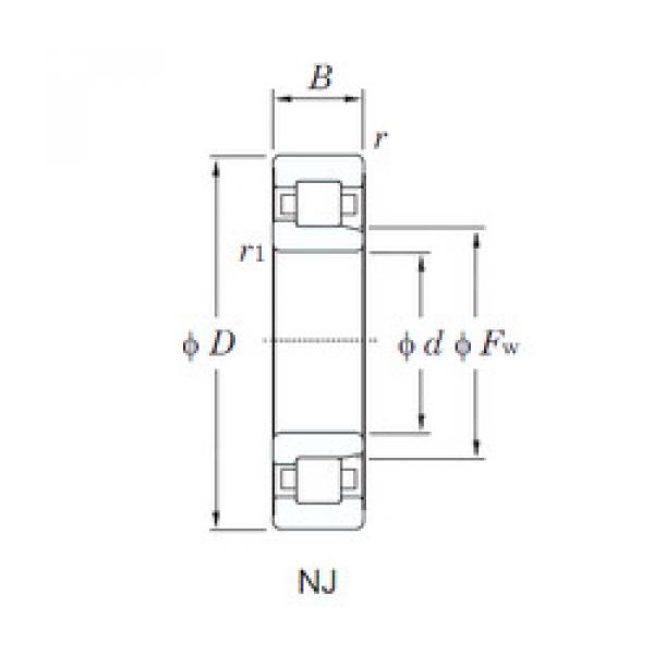 підшипник NJ204R KOYO #1 image