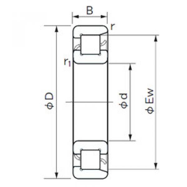 підшипник NF 1019 NACHI #1 image