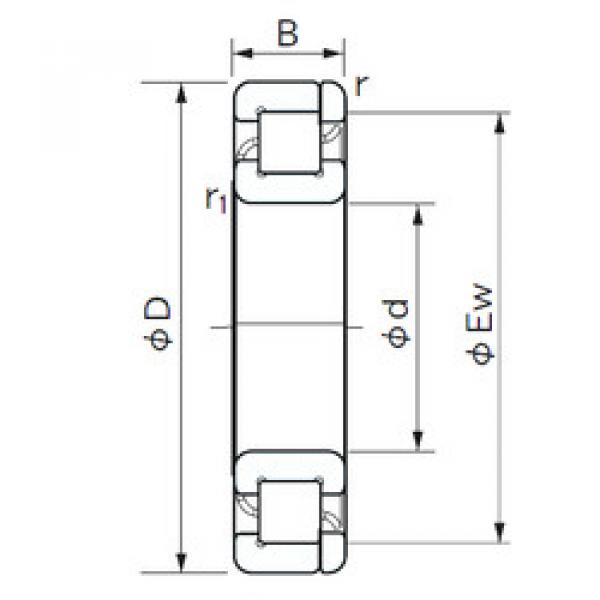 підшипник NP 1044 NACHI #1 image