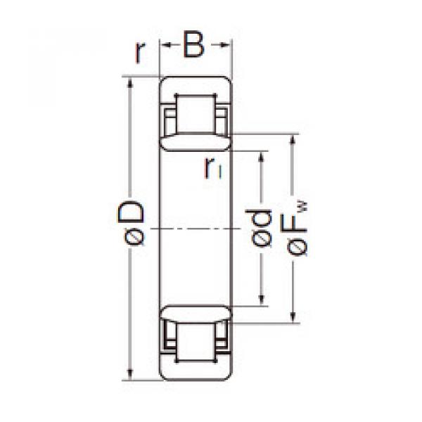 підшипник NU205EG NACHI #1 image